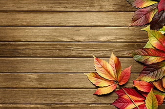 HD fall background wallpapers | Peakpx