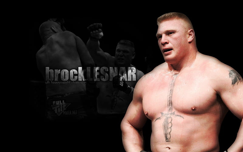 Brock Lesnar tattoos What do the WWE legends sword on chest pointing to  neck and demon on back ink REALLY mean  The Sun  The Sun