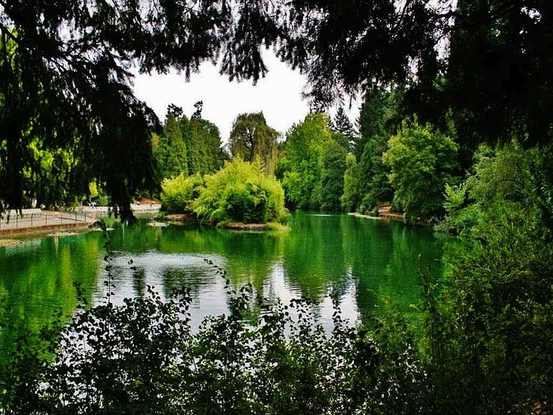 Laurelhurst Park - Portland, OR, oregon, green, northwest, pacific, beauty, nature, park, lake, HD wallpaper