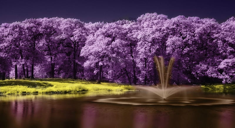 Randol Mill Park, Arlington, Texas, fountain, Arlington Texas, park, trees, Randol Mill, pond, water, purple, HD wallpaper