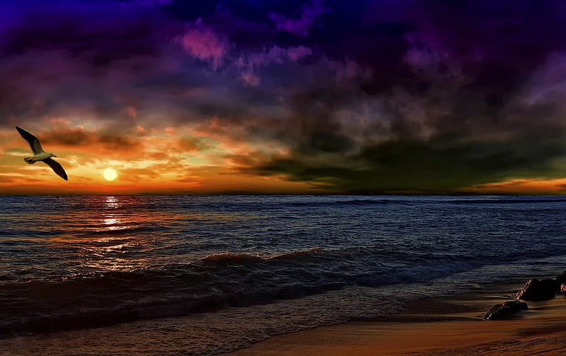 Beach Sunset, beach, paint, sea, flying, HD wallpaper | Peakpx