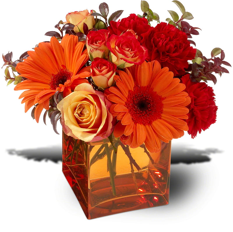 Glass Beauty, pretty, orange, vase, spring, floral, glass, water, square, flowers, reds, display, HD wallpaper