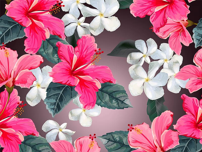 Pattern, plumeria, white, pink, flower, texture, hibiscus, vara, summer, HD wallpaper