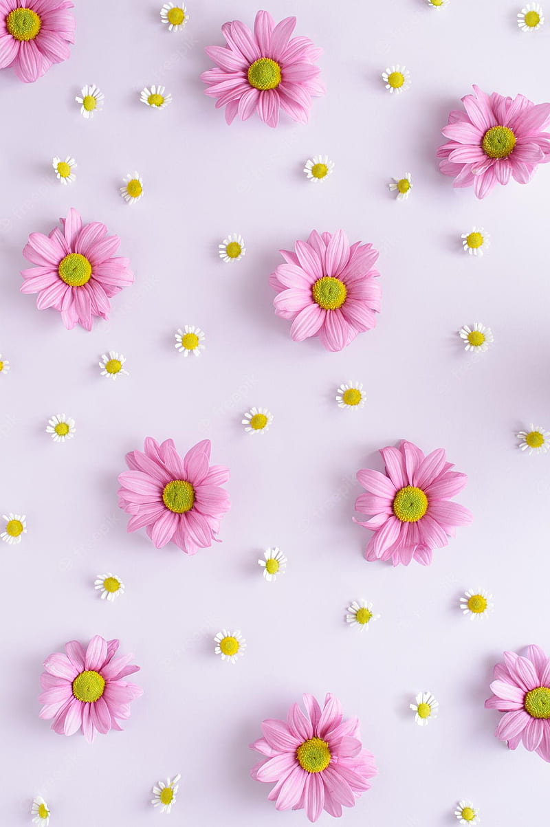 HD aesthetic pink flowers wallpapers | Peakpx