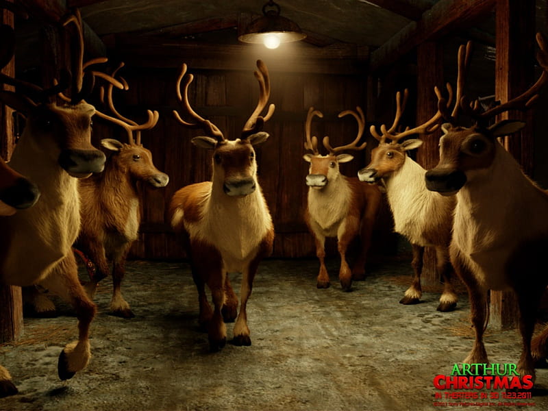 arther christmas, stable, reindeer, arther, christmas, HD wallpaper