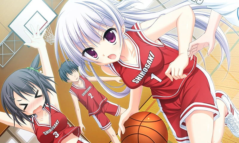 Sakura Tamaki, red, ball, hatsuyuki sakura, basket, anime, anime girl, white, HD wallpaper