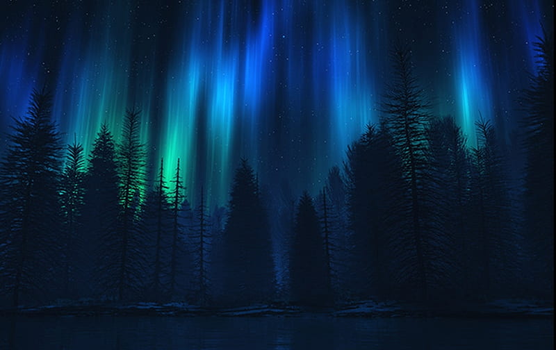Song Of The Sky, forest, northern lights, landscapes, woods, electric sky, nature, trees, HD wallpaper