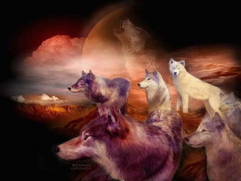Wolf Migration, fantasy, wolves, abstract, animals, dogs, HD wallpaper