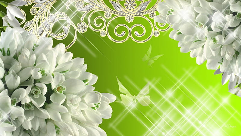 Snowdrops on Green, glow, shine, butterflies, spring, green, embellishments, blossoms, snowdrops, blooms, HD wallpaper
