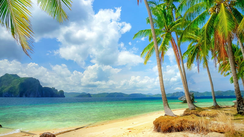 Coconut Trees On Beach Sand With Landscape Of Green Covered Mountain In The Middle Of The Sea Beach, HD wallpaper