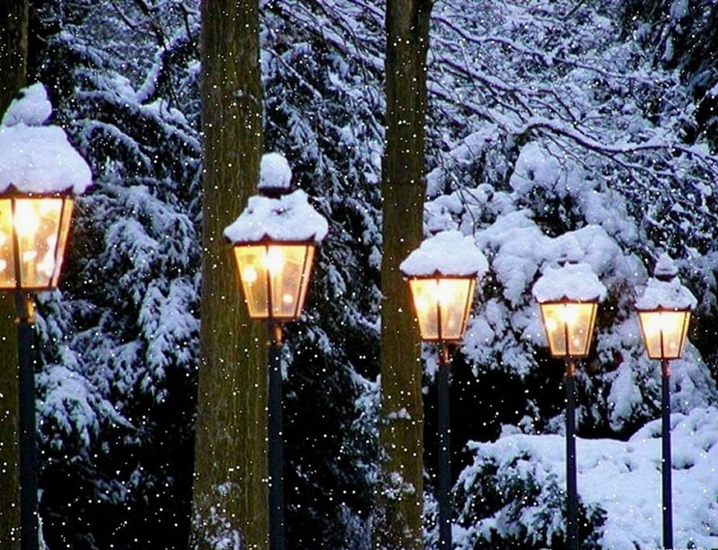 Winter Lights, snow, lampposts, trees, branches, lights, winter, HD wallpaper