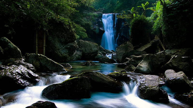 Beautiful Waterfall On Rocks Pouring On River Stones Banana Trees Nature, HD wallpaper