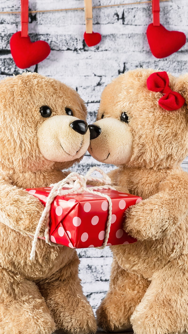 Stuffed Animal , stuffed animal, teddy bear, gift, love, HD phone wallpaper