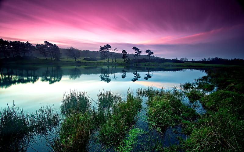Peaceful Place, purple sky grass, background, sunset, sundown, nice, multicolor landscapes, paisage, wood, sunbeam, sunrises, dawn, sunrays, purple, violet, white beautiful, seasons, green, colous, scenery, blue, lakes, pond, tree, paisagem, dark, nature reflected, branches, pc, scene, good morning, shore, high definition, clouds, cenario, scenario, splendor, shadows, beauty, sunrise, morning, reflection, rivers, lovely, paysage, cena, black, trees, lagoons, sky, panorama, water, cool, windy, awesome, computer, sunshine, hop, fullscreen, landscape, colorful, sunny, laguna graphy, grasslands, darkness, sunsets, grove, mirror, river, pink, amazing view, colors, spring, lake, plants, peaceful, summer, laky, colours, reflections, HD wallpaper