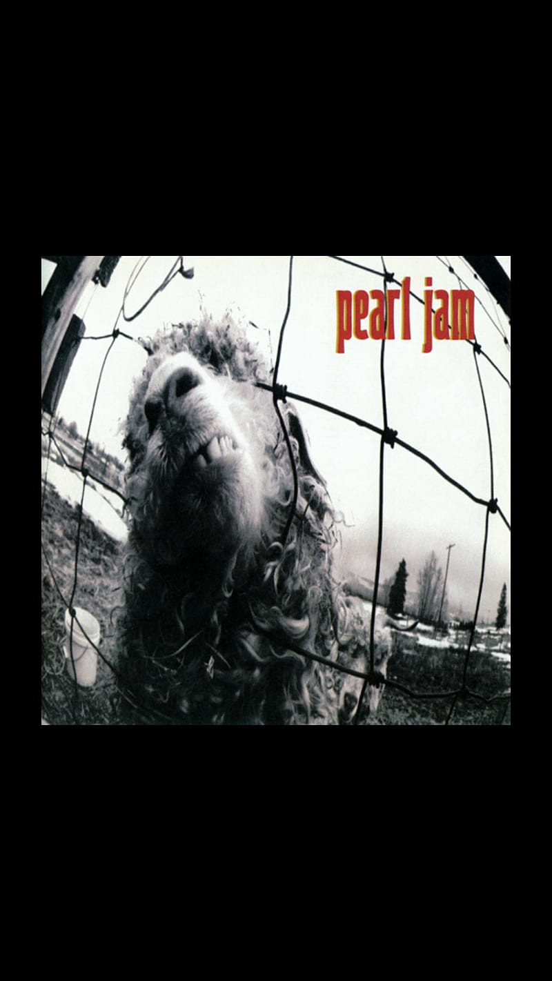 Pearl Jam Vs, grunge, pj, HD phone wallpaper | Peakpx