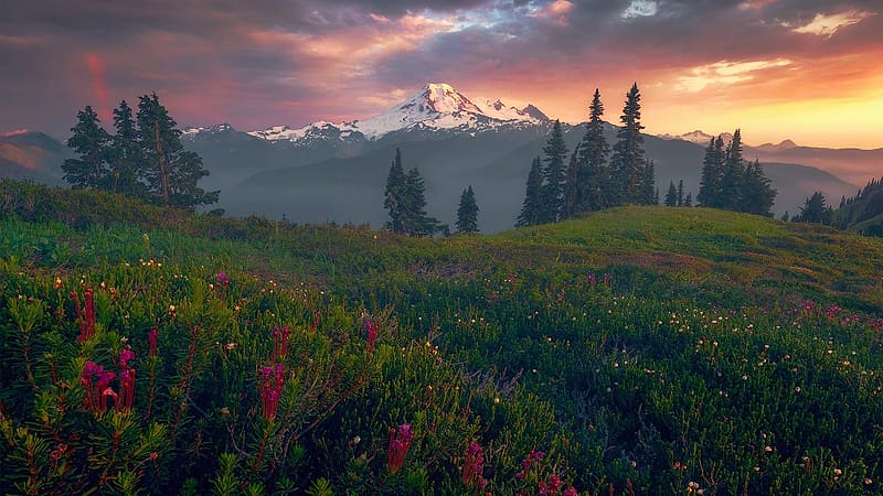 Mount Baker, Washington, usa, clouds, trees, sunset, landscape, meadow, rocks, sky, HD wallpaper