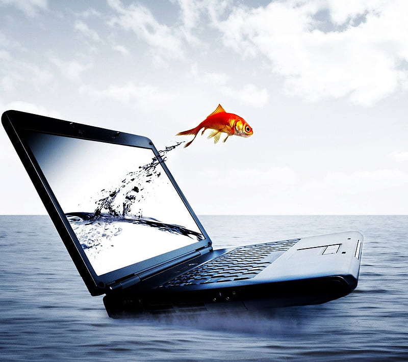 Laptop fish, jumping, subbu, HD wallpaper