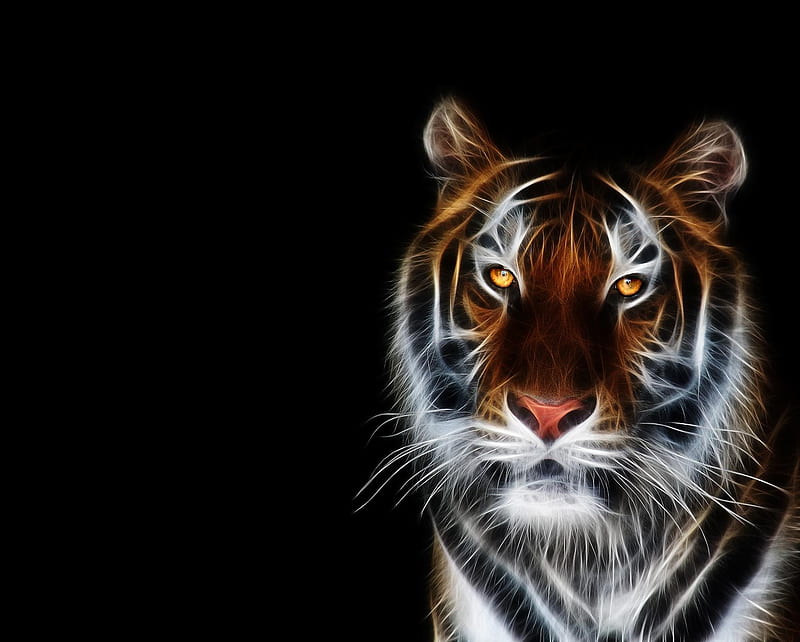 Tiger, animal, background, black, eye, fractalius, lion, HD wallpaper