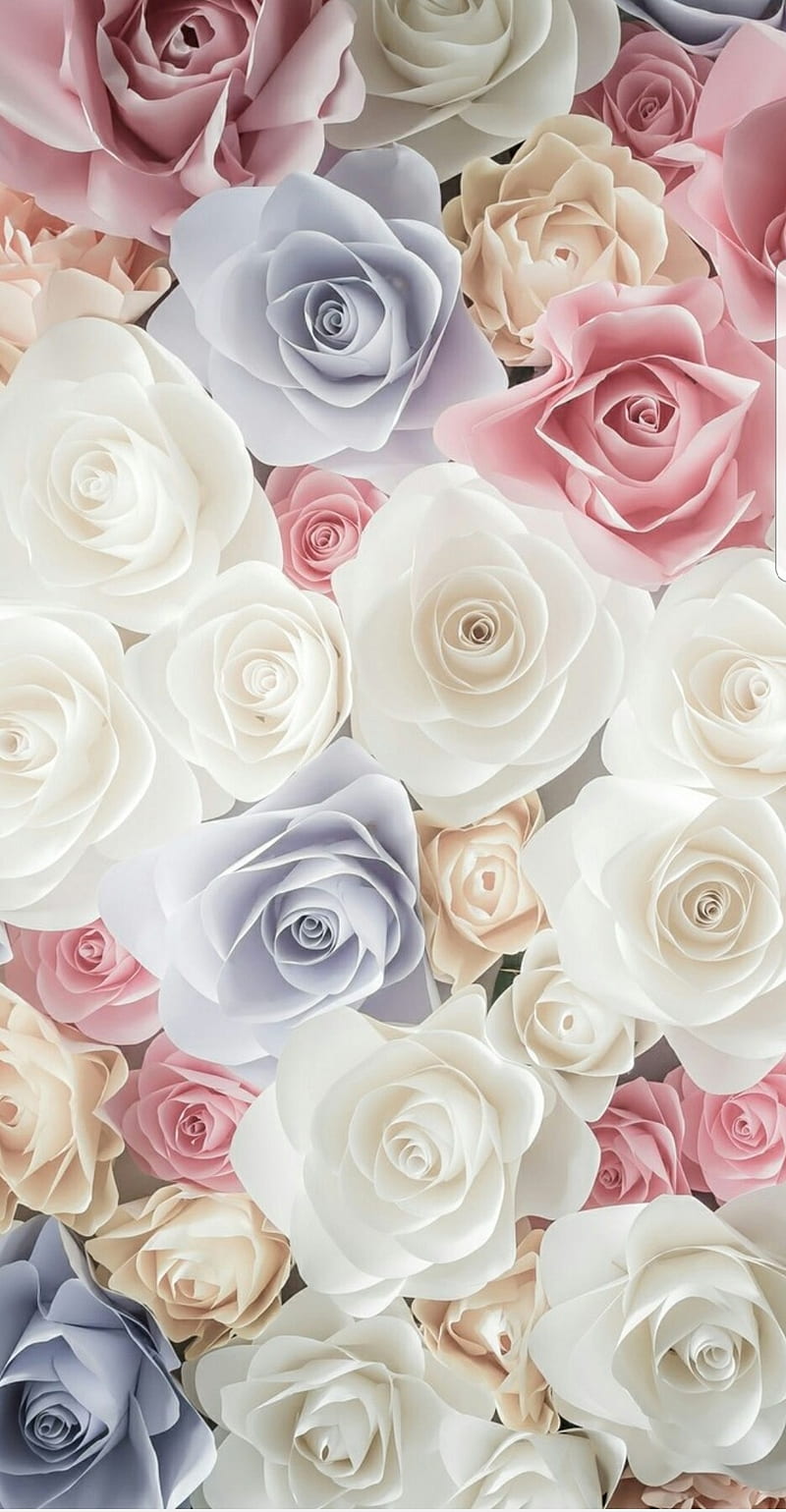 Vintage Roses, flowers, love, pink, romantic, HD phone wallpaper | Peakpx