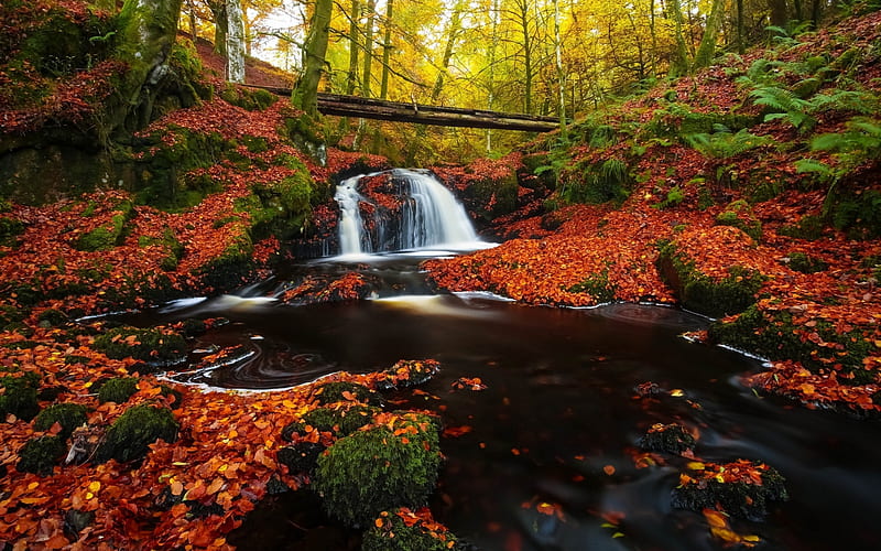 Waterfall In Autumn Forest, Bright, Waterfalls, Autumn, Foliage, Hd 