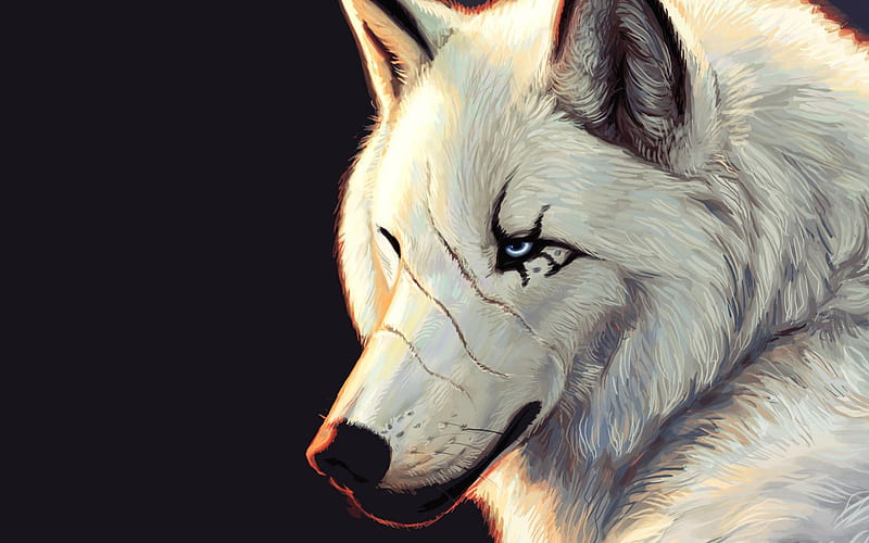 Wolf Scar, scar, wolf, cg, animal, HD wallpaper
