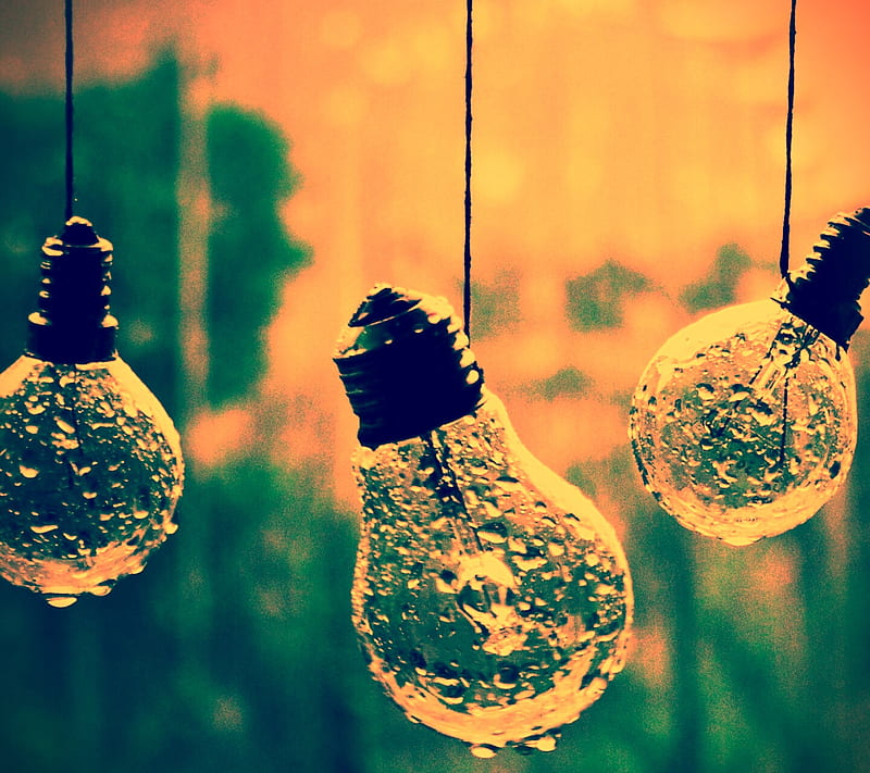 rain, bulbs, rainy day, HD wallpaper