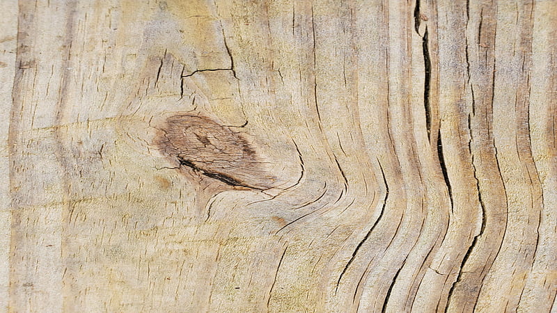 Rustic Woodgrain, board, lumber, wood, wood grain, HD wallpaper