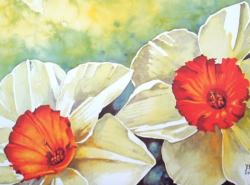 Narcissus painting, painting, narcissus, art, spring, HD wallpaper