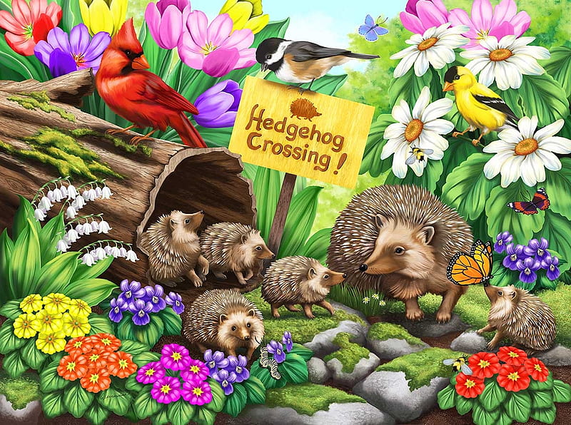 Hedgehog Crossing, life, wild, hegdehog, spiny, small, happy, creature, HD wallpaper