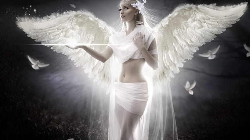 Angel, wings, doves, glowing, girl, bonito, white, HD wallpaper