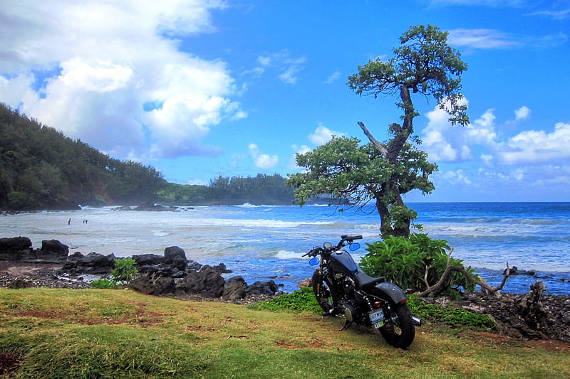 Road to Hana, oceans, Harley Davidson, Sportster, Maui, landscape, HD wallpaper