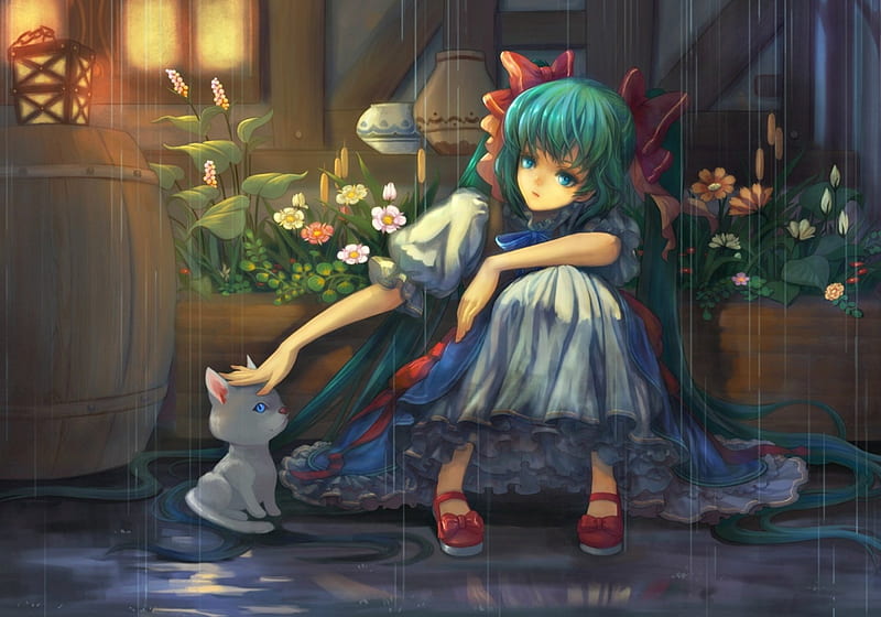 Anime girl and cat, lantern, manga, cat, teddy yang, girl, anime, rain, light, night, HD wallpaper