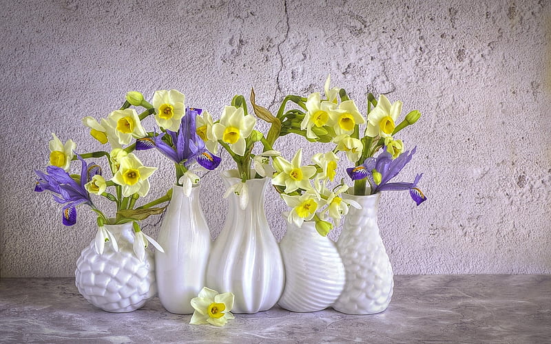 Flowers, jacky parker, daffodils, yellow, flower, vase, pink, iris, HD wallpaper