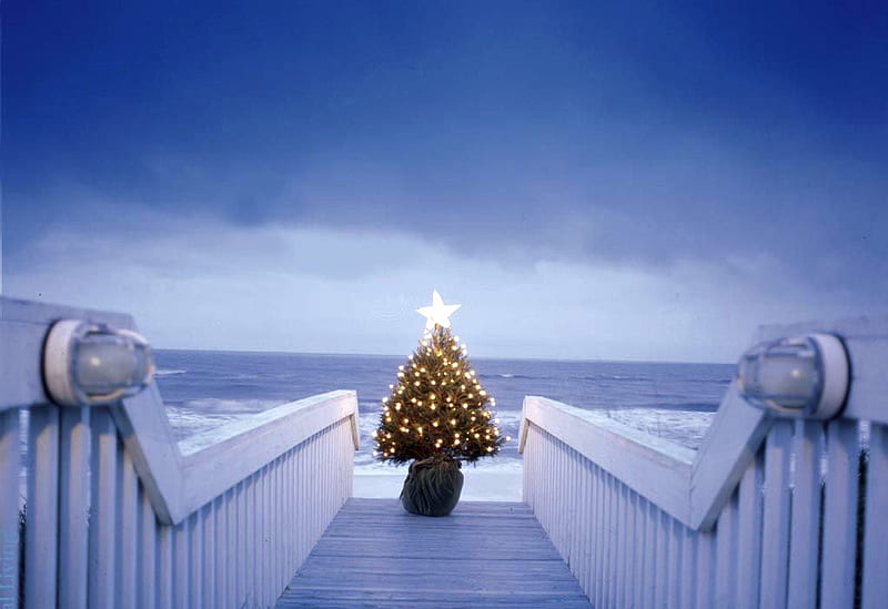 CHRISTMAS BY THE SEA, beach, tree, warm, christmas, side, sea, HD wallpaper