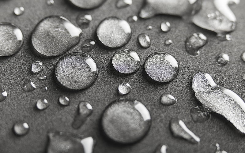 drops of water, gray background, black and white , water concepts, HD wallpaper