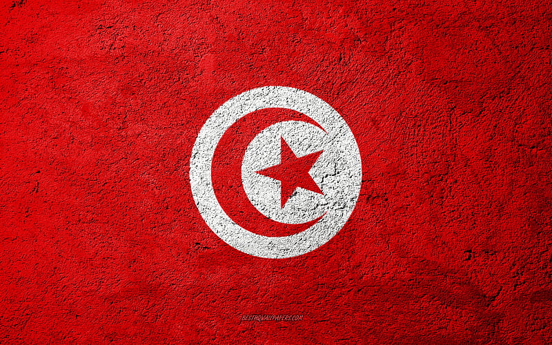 Flag of Tunisia, concrete texture, stone background, Tunisia flag, Africa, Tunisia, flags on stone, HD wallpaper