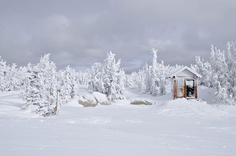 house, snow, trees, winter, landscape, HD wallpaper
