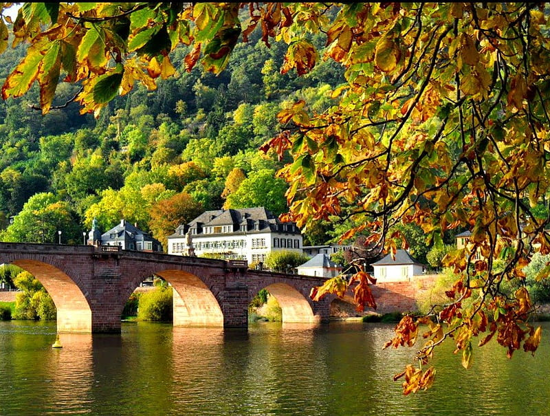Heidelberg-at the old bridge, fall, autumn, shore, falling, bonito, old, foliage, nice, calm, bridge, river, forest, lovely, place, trees, lake, Heidelberg, tranquil, serenity, nature, HD wallpaper