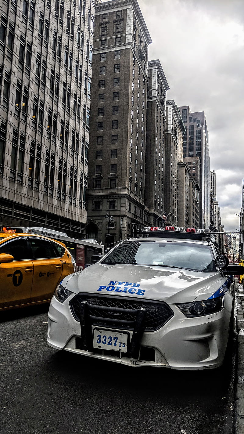 NYPD Police Car, carros, new york, nyc, HD phone wallpaper