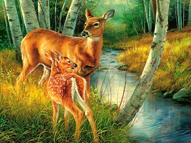 Birch creek-detail, family, forest, stream, art, birch, bonito, creek, trees, mother, deer, serenity, painting, peaceful, child, roe, animals, HD wallpaper