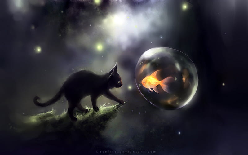 ✰Space Cat Doubt✰, world, pretty, doubt, cg, space, wonder, bonito, adorable, Nature, love, amazing, Fish, lovely, Art, cat, Fantasy, cute, cool, Cats, crystal, Animals, HD wallpaper