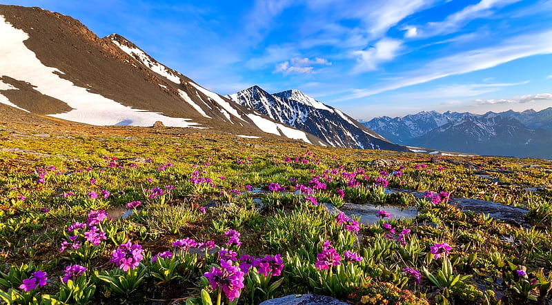 Spring in mountains, pretty, lovely, bonito, spring, sky, snowy ...