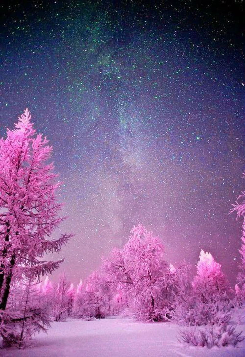 Pink trees , trees, season, snow, stars, forest, pink, HD phone wallpaper