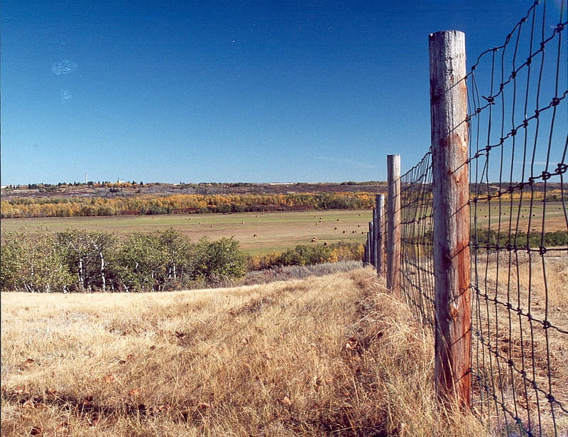 Saskatchewan field and fence, farm, fence, fall, saskatchewan, field, HD wallpaper