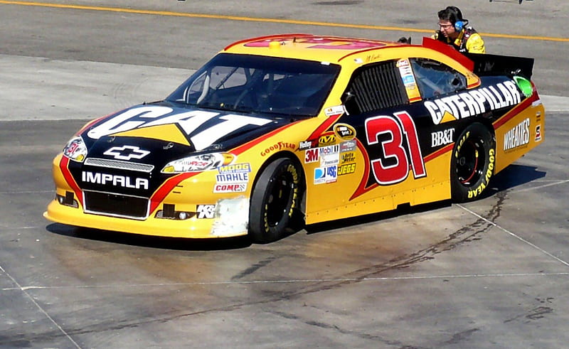 31 Jeff Burton NASCAR Richard Childress Racing racing Las