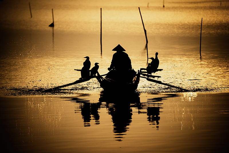 boat, silhouette, dark, river, oars, birds, reflection, HD wallpaper