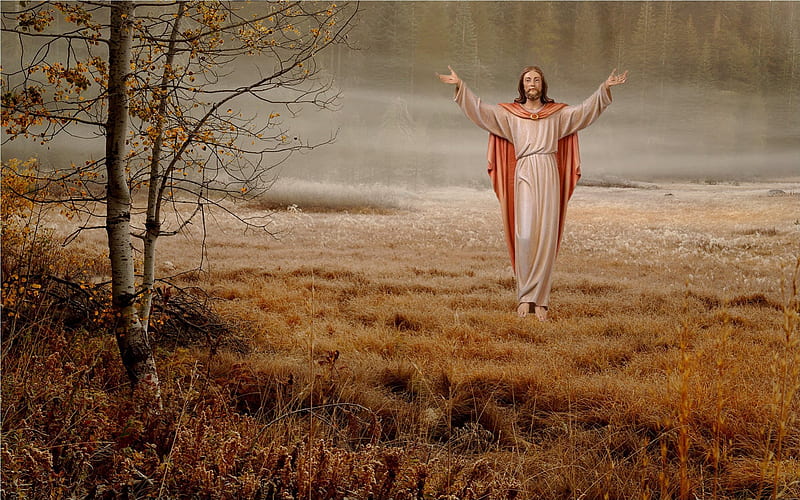 Jesus is risen, christ, jesus, nature, lord, god, field, HD wallpaper |  Peakpx