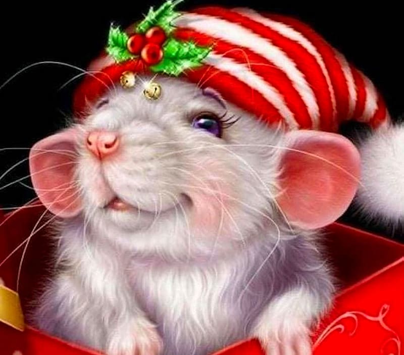 Christmas Rat, rat, hat, colorful, black, white, vibrant, Christmas, vivid, green, red, bright, bold, HD wallpaper