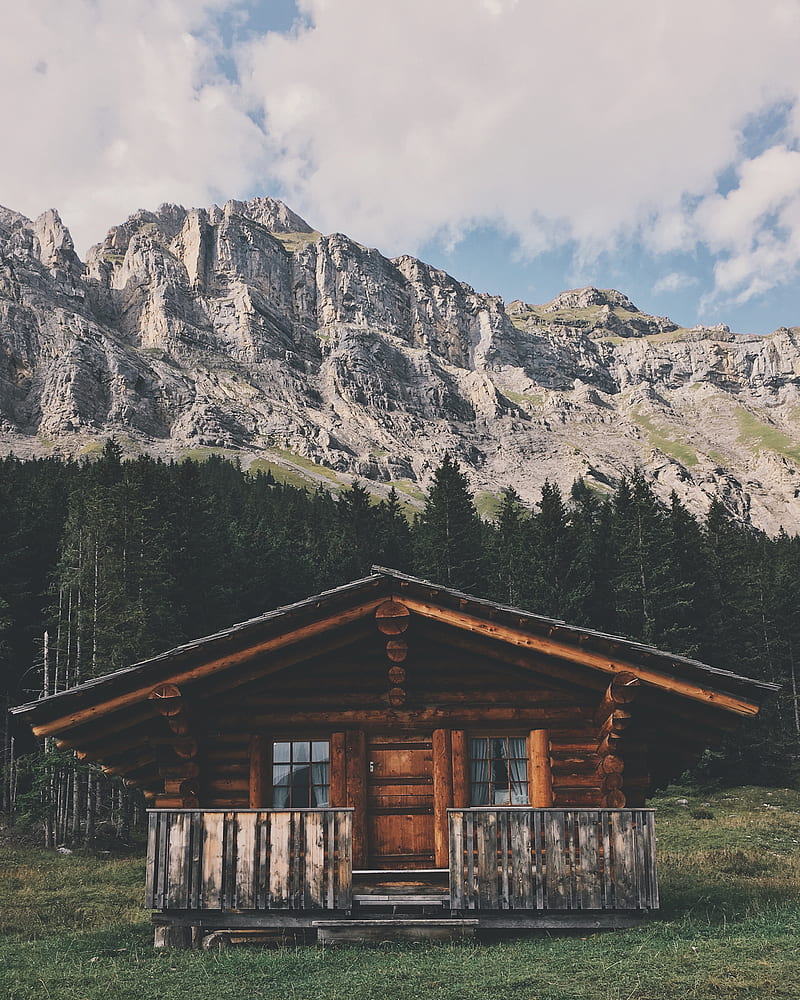 brown wooden cabin infront of forest, HD phone wallpaper