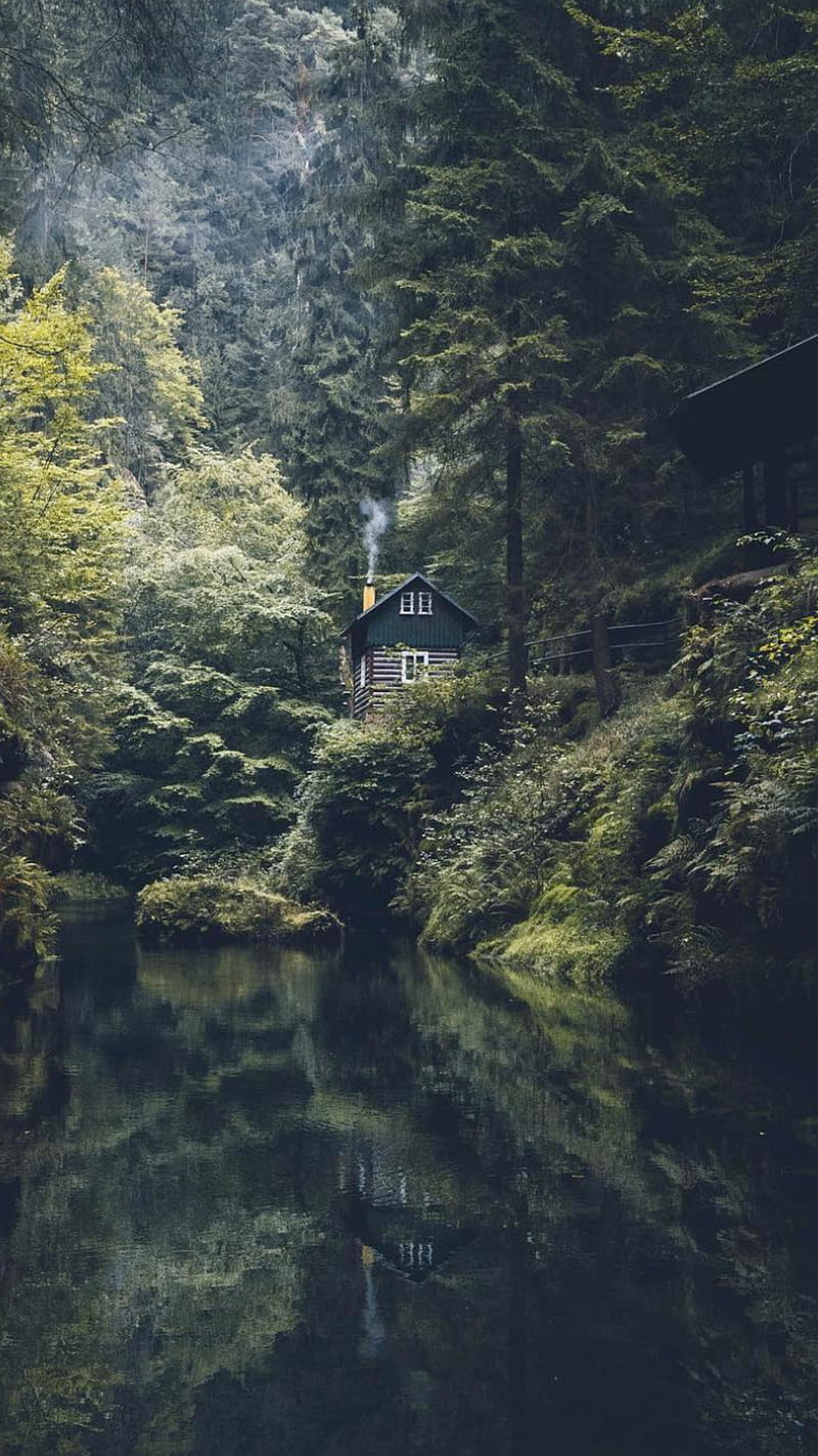 Cabin Life, lake, woods, solitude, seren, peaceful, HD phone wallpaper
